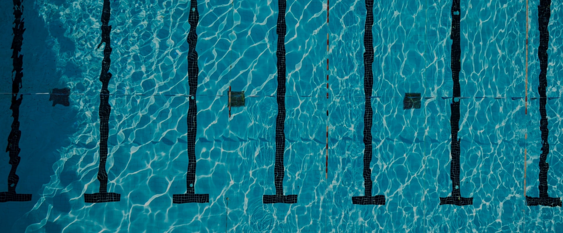 Your Pool Solutions in One Place