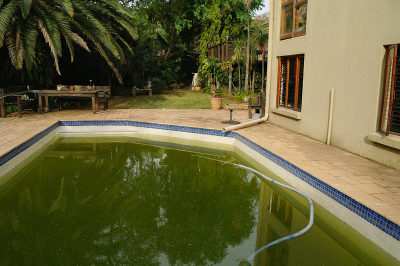 Having Pool Algae Problems?